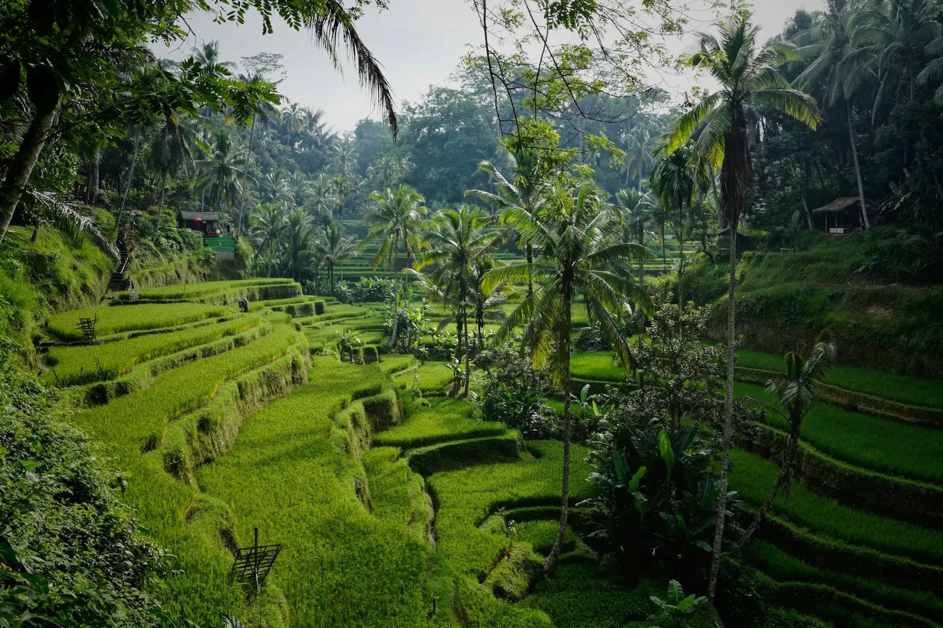 Things to Do in Bali: Top Activities, Beaches & Experiences